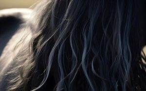 Что такое трихоскопия?